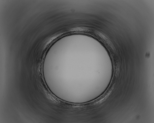 X0000094801017200711160935
