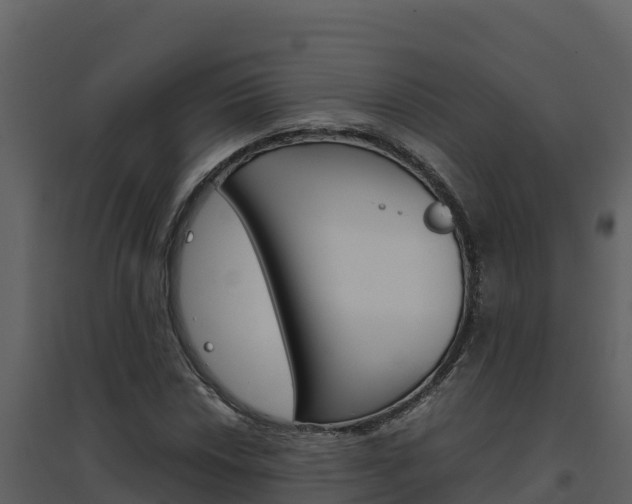 X0000094801018200711160935