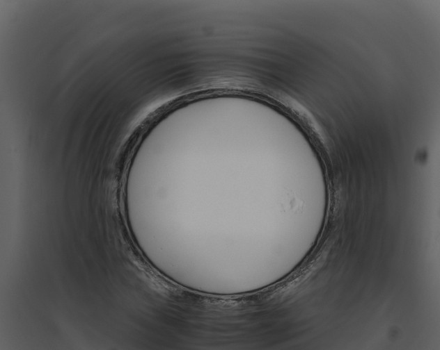X0000094801019200711160935