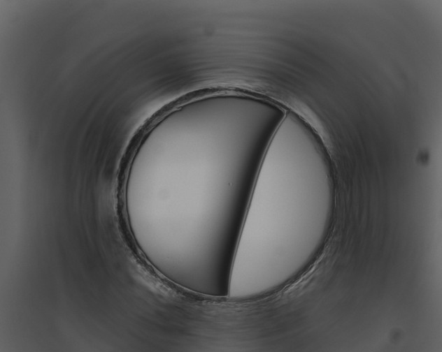X0000094801020200711160935