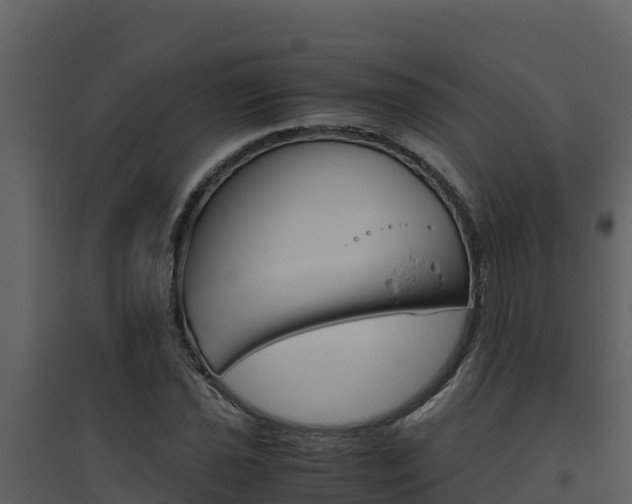X0000094801021200711160935