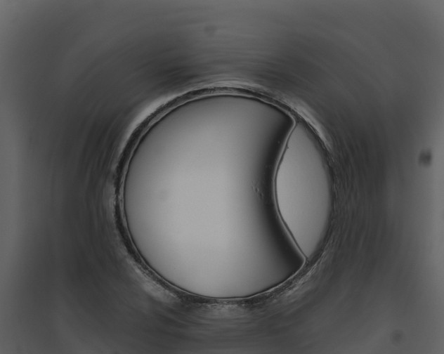 X0000094801024200711160935