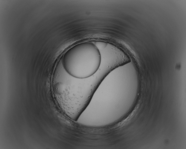 X0000094801025200711160935