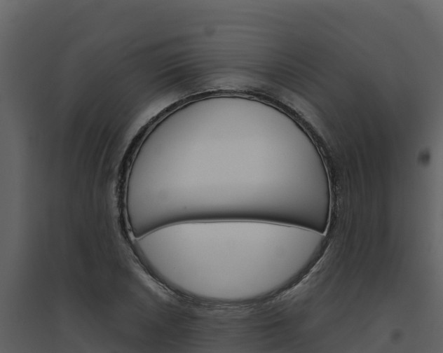 X0000094801026200711160935
