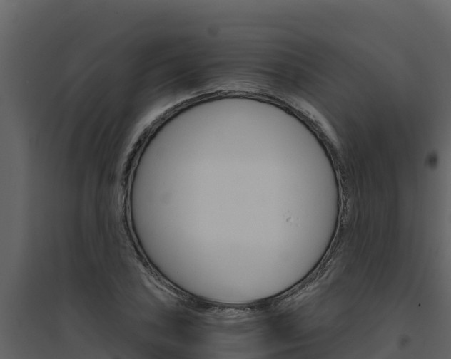 X0000094801027200711160936