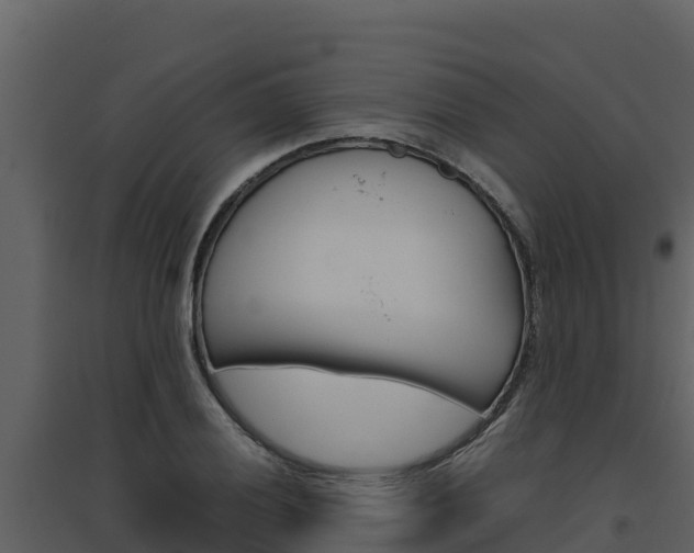 X0000094801028200711160936
