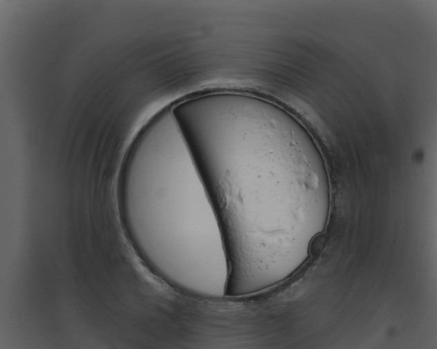 X0000094801030200711160936