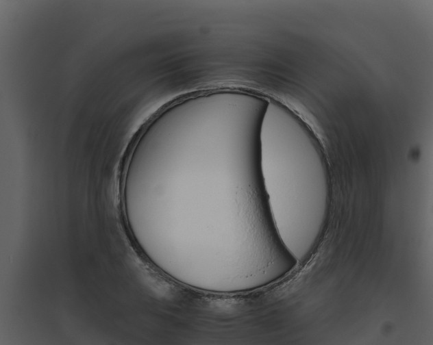 X0000094801031200711160936