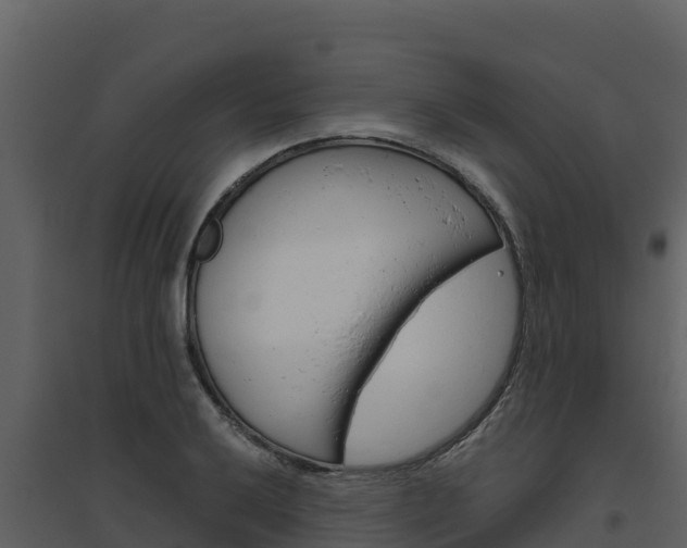 X0000094801032200711160936