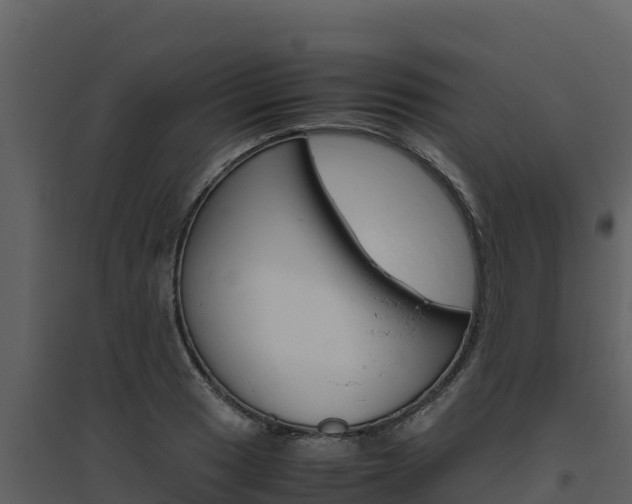 X0000094801033200711160936