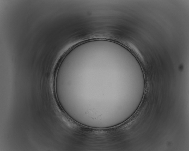 X0000094801035200711160936
