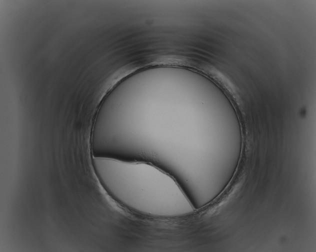 X0000094801041200711160936