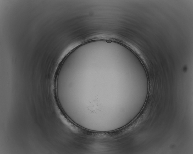 X0000094801042200711160936