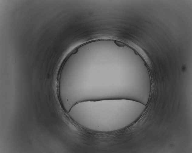 X0000094801051200711160936