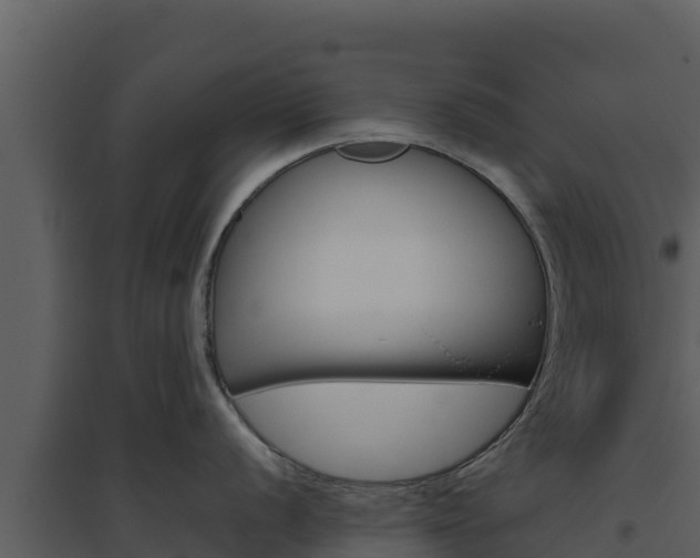 X0000094801056200711160936