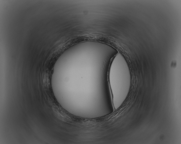 X0000094801058200711160935