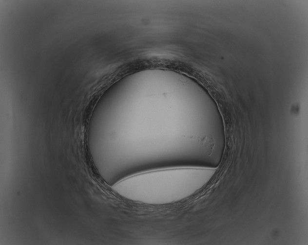 X0000094801061200711160935