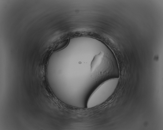 X0000094801062200711160935