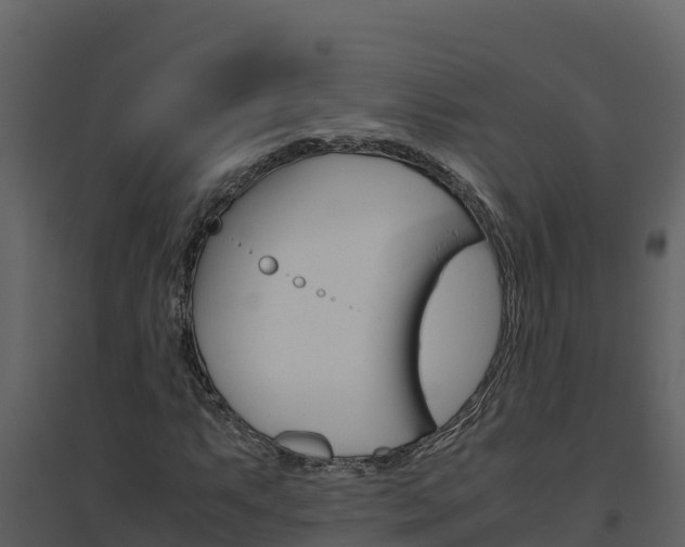 X0000094801063200711160935