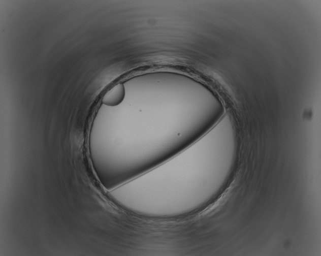 X0000094801065200711160935