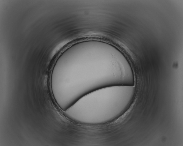 X0000094801066200711160935