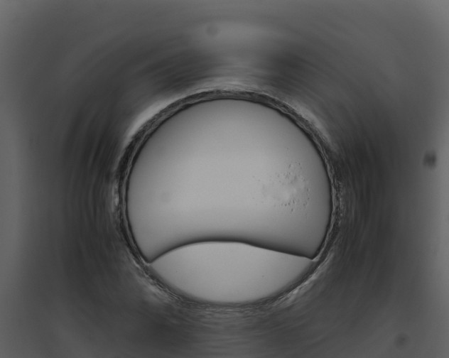 X0000094801070200711160935