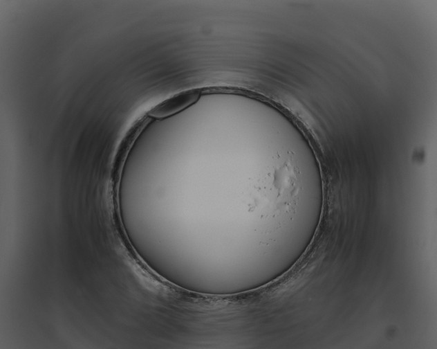 X0000094801072200711160935