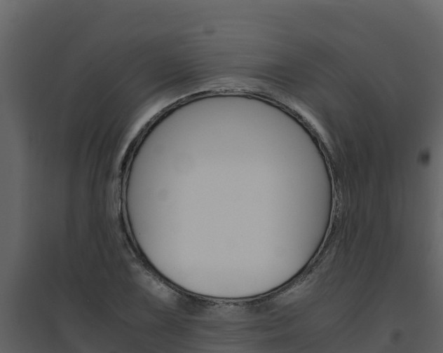 X0000094801075200711160935