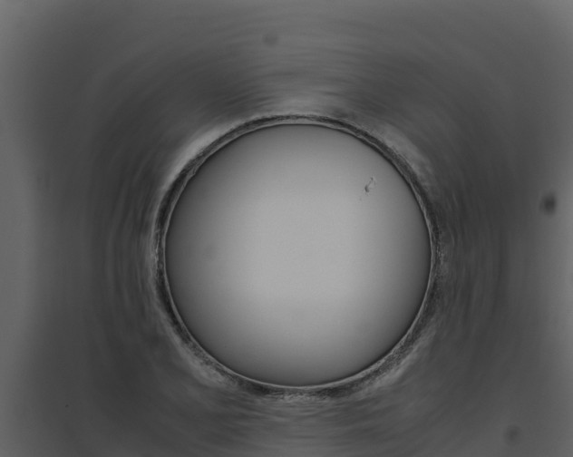 X0000094801077200711160935