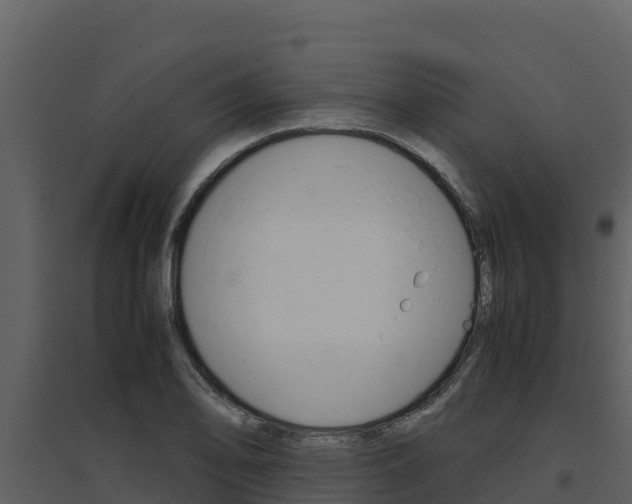 X0000094801078200711160935