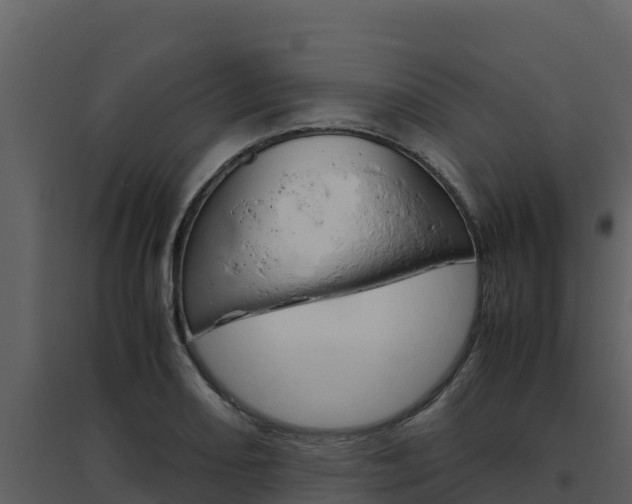 X0000094801082200711160935