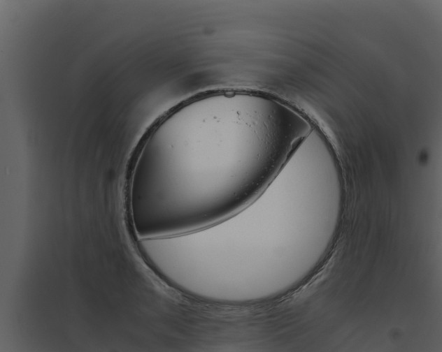 X0000094801085200711160935