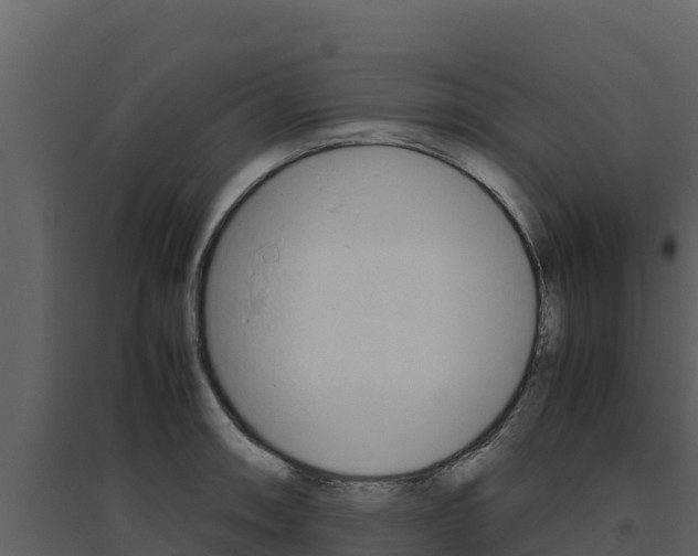 X0000094801090200711160935