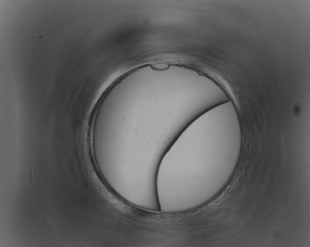 X0000094801091200711160935
