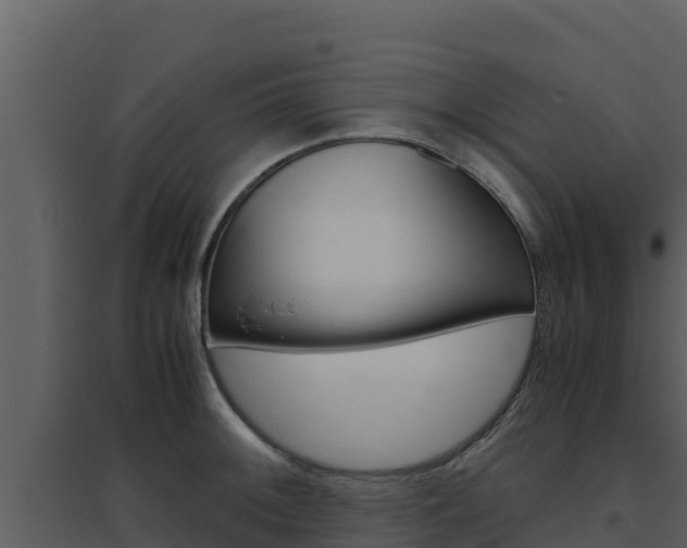 X0000094801092200711160935