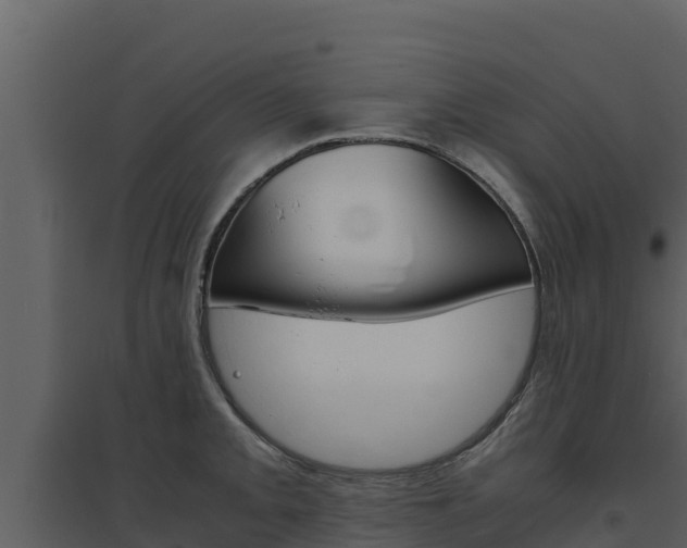 X0000094801093200711160935