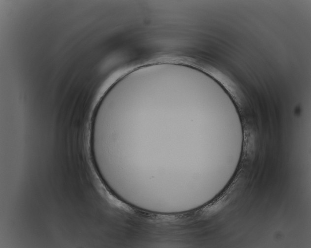 X0000094801094200711160935