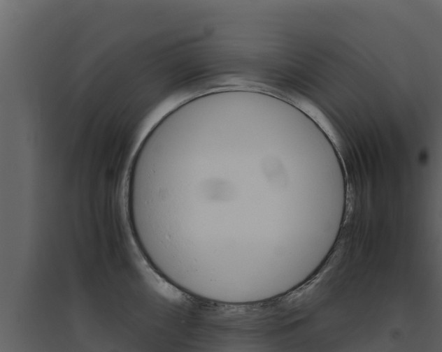 X0000094801098200711160935