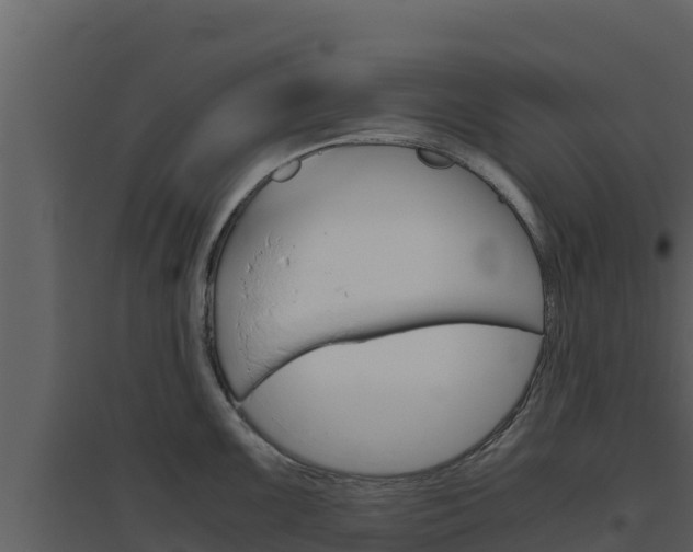X0000094801099200711160935
