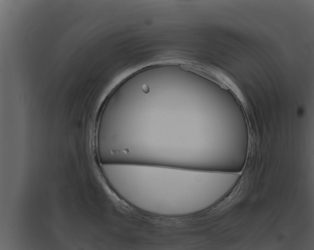 X0000094801101200711160934