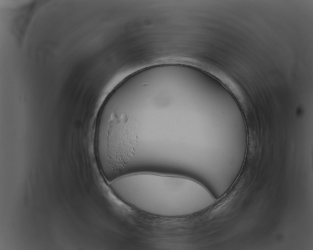 X0000094801102200711160934