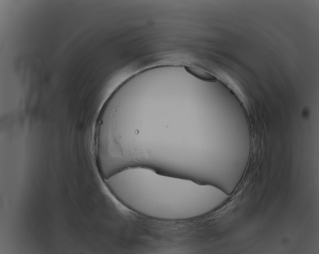 X0000094801103200711160934