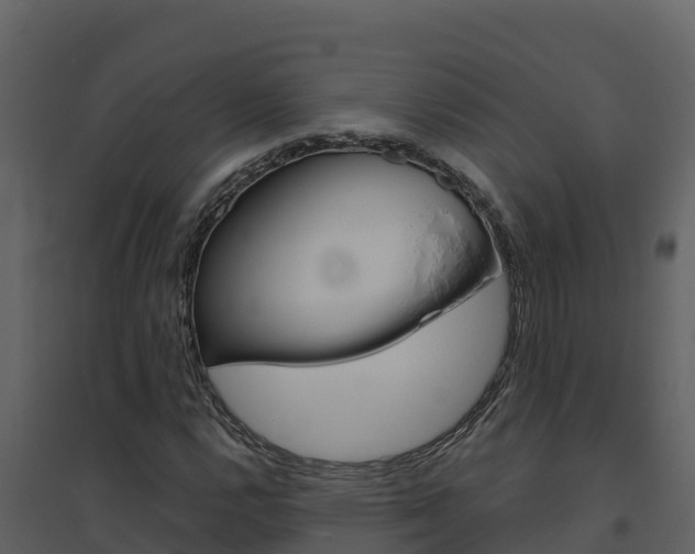 X0000094801112200711160934