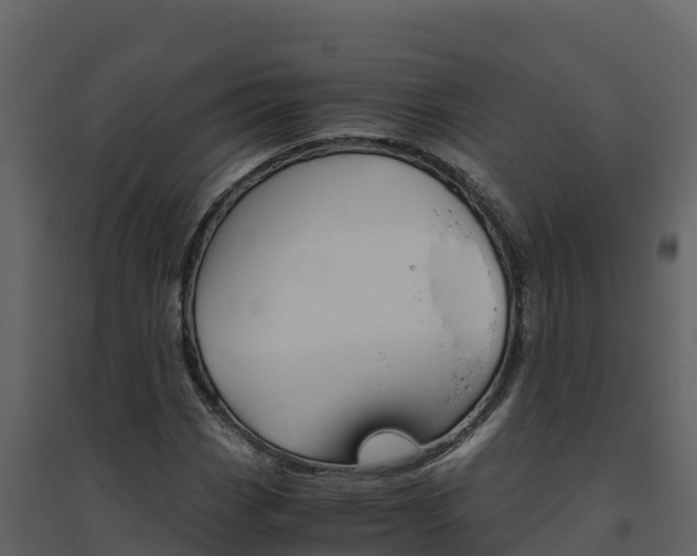 X0000094801113200711160934
