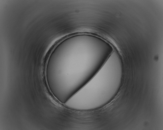 X0000094801116200711160934