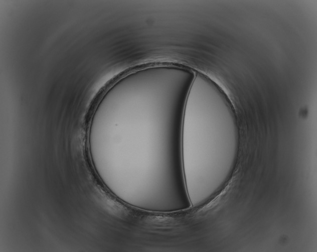 X0000094801119200711160934