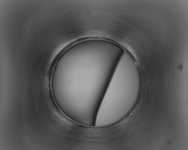X0000094801120200711160934