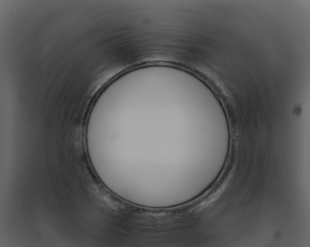 X0000094801121200711160934