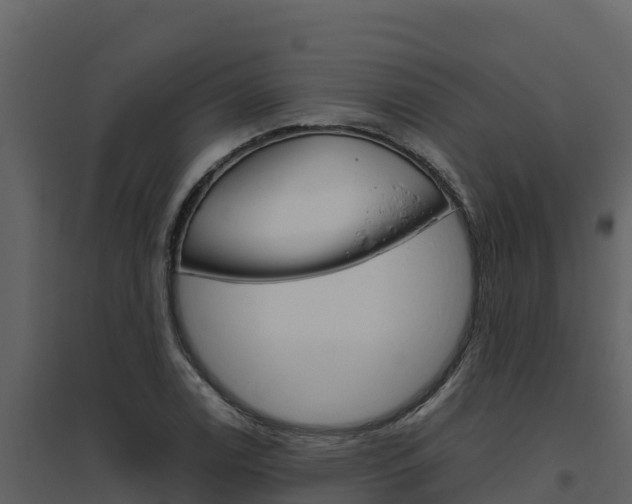 X0000094801122200711160934