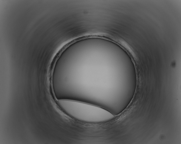 X0000094801124200711160934